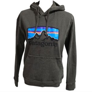 Patagonia Grey Hoodie with Large Logo Size XSmall
